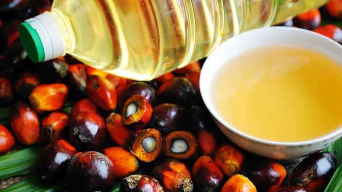 7 Amazing Uses for Palm Oil on Poultry Feed Recent Study Shows 