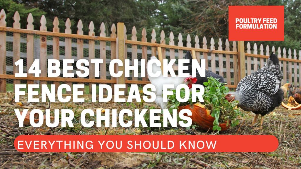 chicken fence ideas